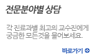 전문분야별상담