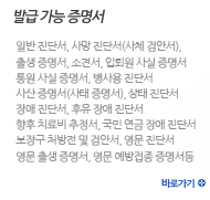 발급 가능 증명서